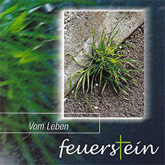 Feuerstein - Vom Leben